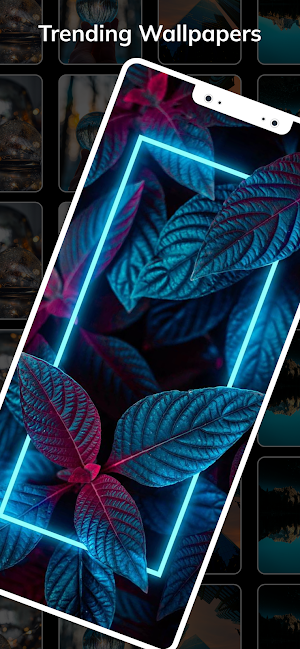 4K Wallpapers 2024 Screenshot 3