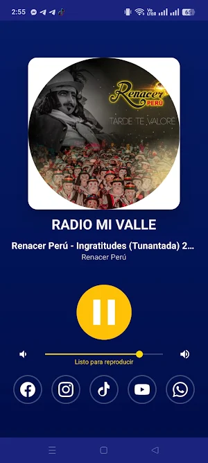 RADIO MI VALLE Screenshot 1