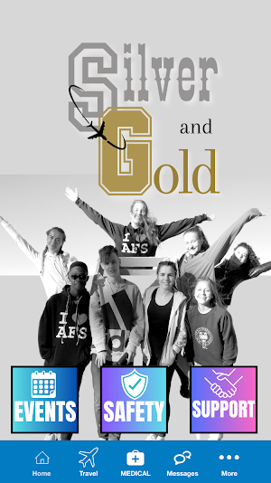 AFS Silver & Gold Screenshot 0
