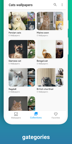 Cat wallpaper Screenshot 3