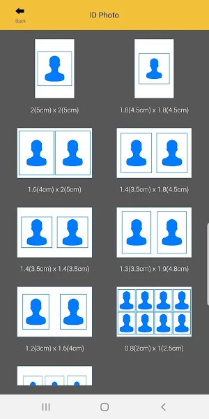 Pickit Instant Screenshot 2