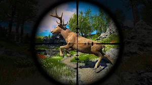 Animal hunting :Shooting Games Screenshot 1