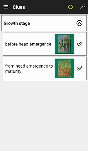 MyCrop Barley Screenshot 1