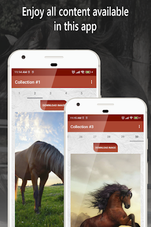 horse wallpapers, backgrounds Screenshot 3