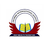 PROMISE INTERNATIONAL SCHOOL