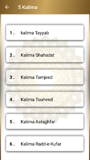 5 Kalima & 25 Small Surah (Full Offline) Screenshot 2