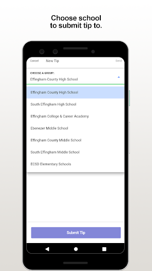 EffinghamCo Schools Screenshot 2