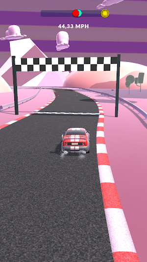 Crazy Rally Screenshot 1