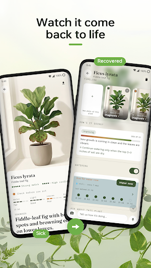 Plumula: AI Plant Doctor Screenshot 2