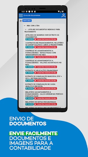 Luzon Contabilidade Screenshot 2