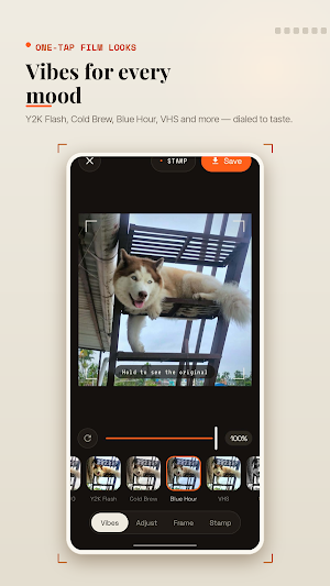 Vintage Photo Editor Screenshot 1