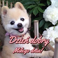 Kartki na dzień dobry