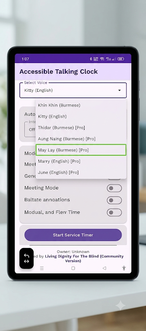 Accessible LDB Talking Clock Screenshot 3
