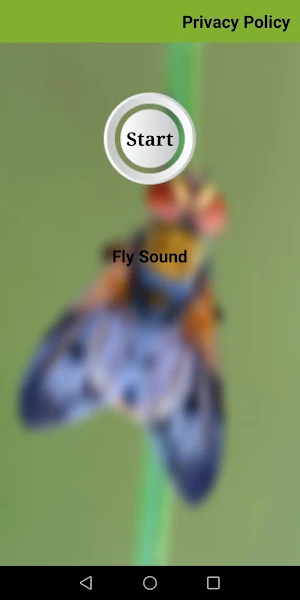 Fly Sound Prank Screenshot 0