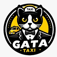 Gata Taxi - usuario