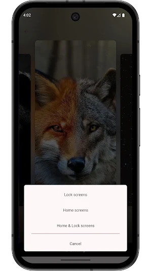 Wolf Wallpapers 4K & HD Screenshot 3