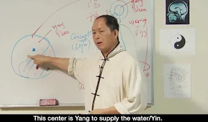 Qigong Breathing Video Lesson Screenshot 0