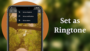 Relax Rain Sounds Screenshot 2