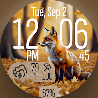 LEAFFALL: Fox Watch Face
