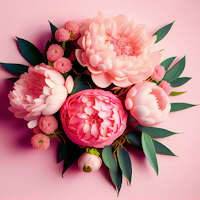 Flower Wallpaper 4K