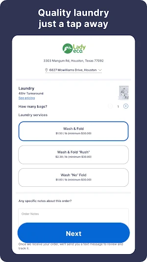 Lady Eco Laundry Screenshot 0