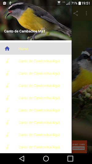 Canto de Cambacica Mp3 Screenshot 0