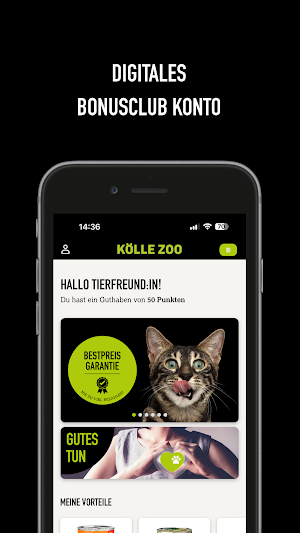 KÖLLE ZOO Screenshot 0