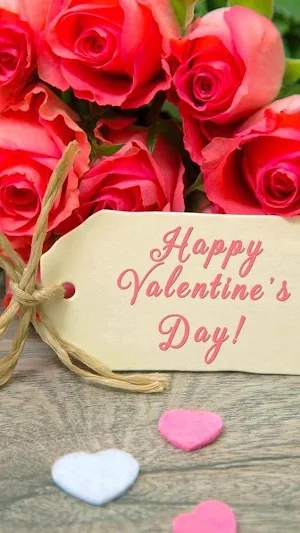 Valentines Day Flowers 2024 Screenshot 2