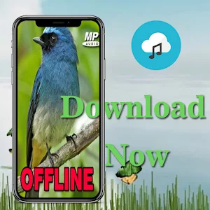 Masteran Selendang Biru Gacor Screenshot 3