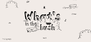 What's in the bush Screenshot 0