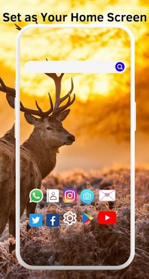 Walli Wallpaper HD Screenshot 2