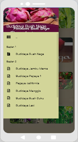 Budidaya Buah Naga Screenshot 3