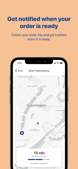 Baryl Screenshot 2