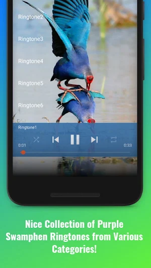 Purple Swamphen Sounds Screenshot 1