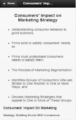 Introduction of Consumer Behavior Screenshot 2