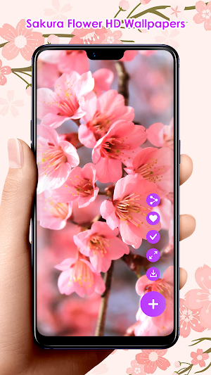 Sakura Flower HD Wallpapers Screenshot 0