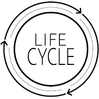 LIFECycle Spin Studio