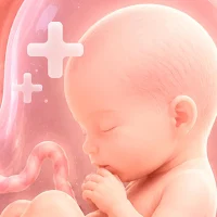 BabyBump: Pregnancy Tracker