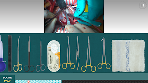 PeriopSim Screenshot 2