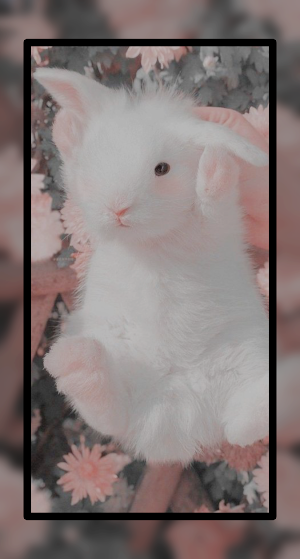 Cute Bunny Aesthetic Wallpaper Screenshot 1