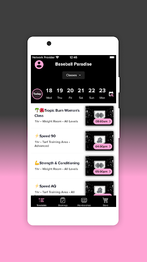 Baseball Paradise Screenshot 1