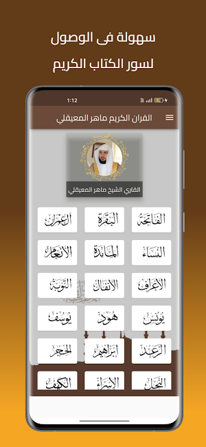ماهر المعيقلي قرأن بدون نت Screenshot 2