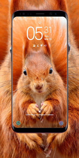 Squirrel Wallpaper Screenshot 1