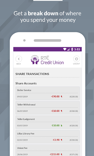 RTE Credit Union Screenshot 2