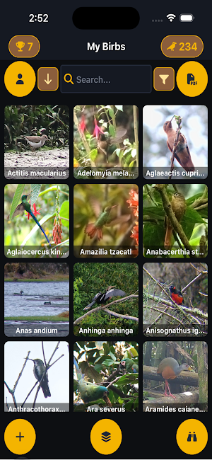 MyBirbs Screenshot 0