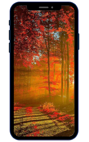 Autumn Wallpapers Screenshot 3