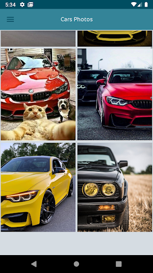 The most beautiful BMW pictures without internet Screenshot 1