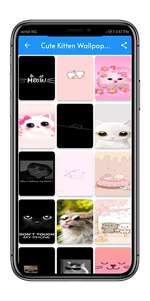 Cute Kitten Wallpaper Screenshot 1