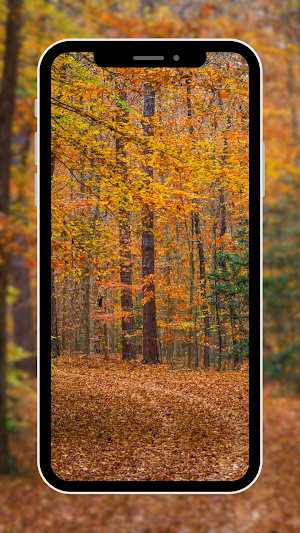 Landscape Wallpaper Screenshot 1