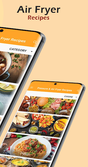 Instant Pot/Air Fryer Recipes Screenshot 1